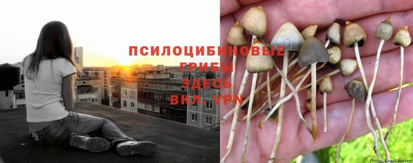 мяу мяу мука Лагань