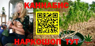 наркотики Кингисепп