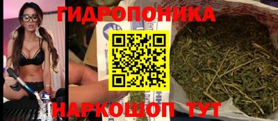 прущая мука Кимры