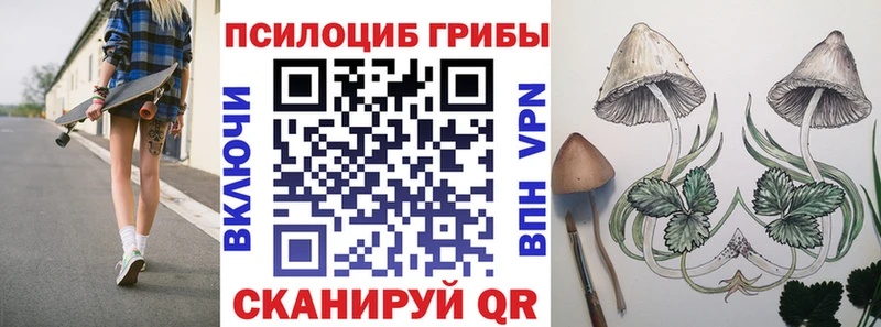 Псилоцибиновые грибы Cubensis  Луховицы 
