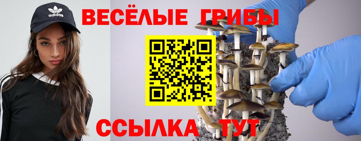 Галлюциногенные грибы Cubensis  Вход с VPN  Псилоцибиновые грибы Cubensis  Луховицы 